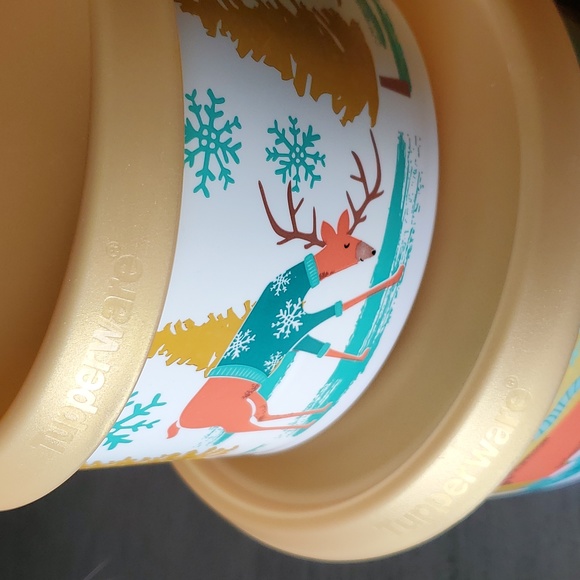 Tupperware - Picture 3 of 6